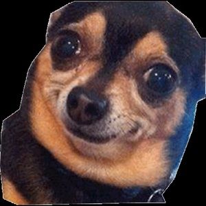 Meet your Posher, Javier